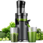 SHARDOR Cold Press Juicer Machines, Masticating Juicer Extractor with 3.5-Inch Feed Chute, Slow Juicer With High Yield, Easy to Clean,Grey